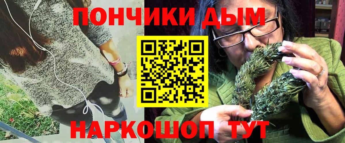 Конопля семена  Конопля Bruce Banner  МАРИХУАНА сатива  Вход с VPN  Химки 